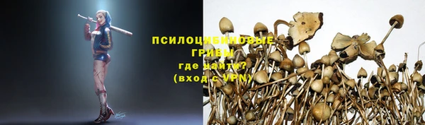 амф Богородск