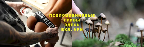 MDMA Белокуриха