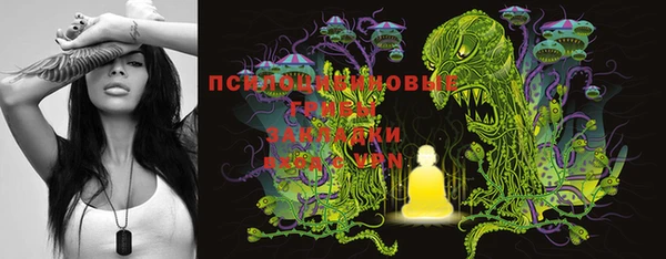 MDMA Белокуриха
